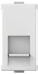 ROMA PLUS RJ45 COMPUTER SOCKET CAT6